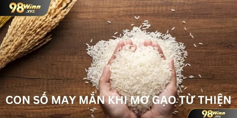 Con số may mắn khi ngủ mơ thấy gạo từ thiện