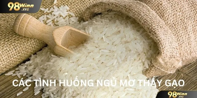 Giải đáp các tình huống khi ngủ mơ thấy gạo là số mấy?
