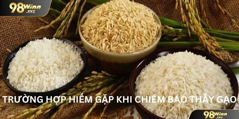 Vài trường hợp hiếm gặp khi chiêm bao thấy gạo