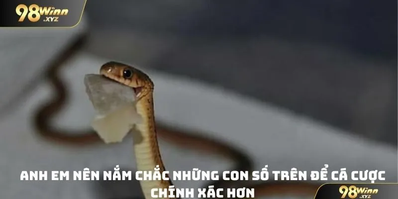 Anh em nên nắm chắc những con số trên để cá cược chính xác hơn