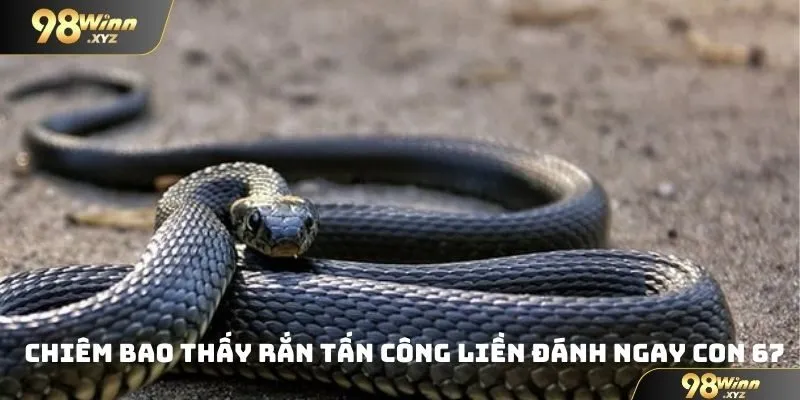 Chiêm bao thấy rắn tấn công liền đánh ngay con 67